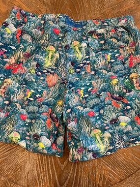 Michaels Teal Multicolor Tropical Reef Swim Trunks